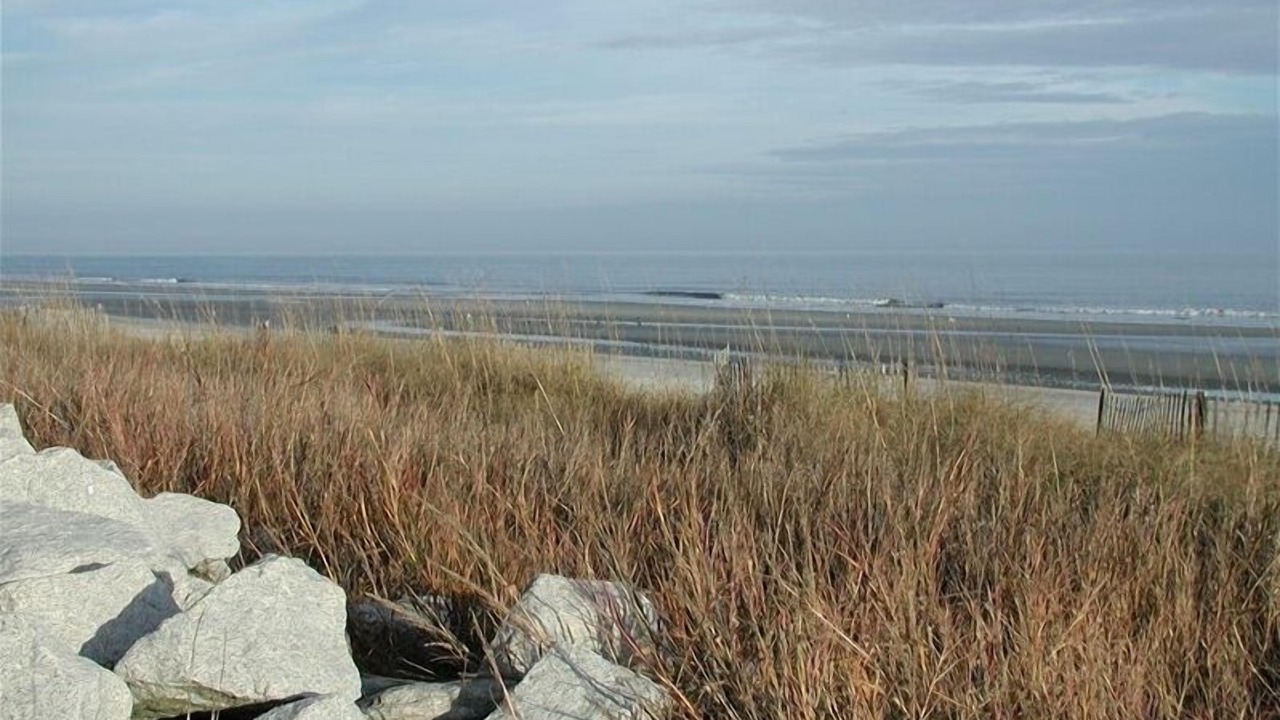 Photo of Others in North Forest Beach