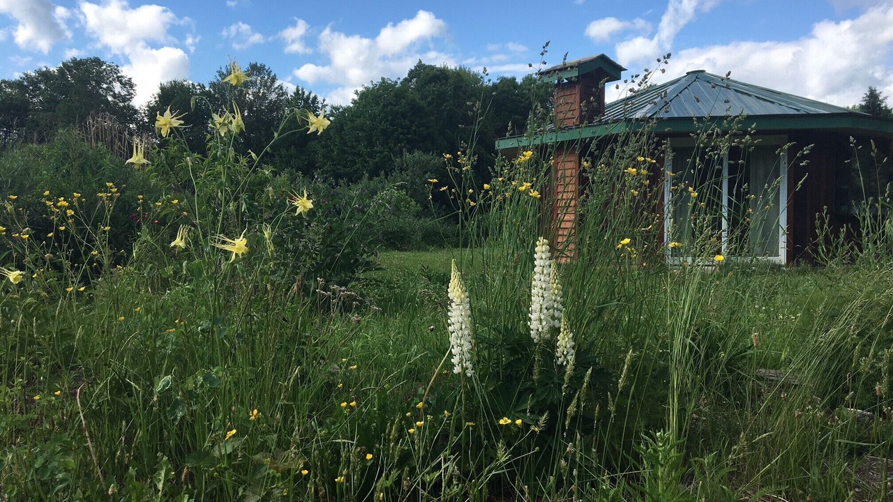 Photo of Outdoor in Newfield