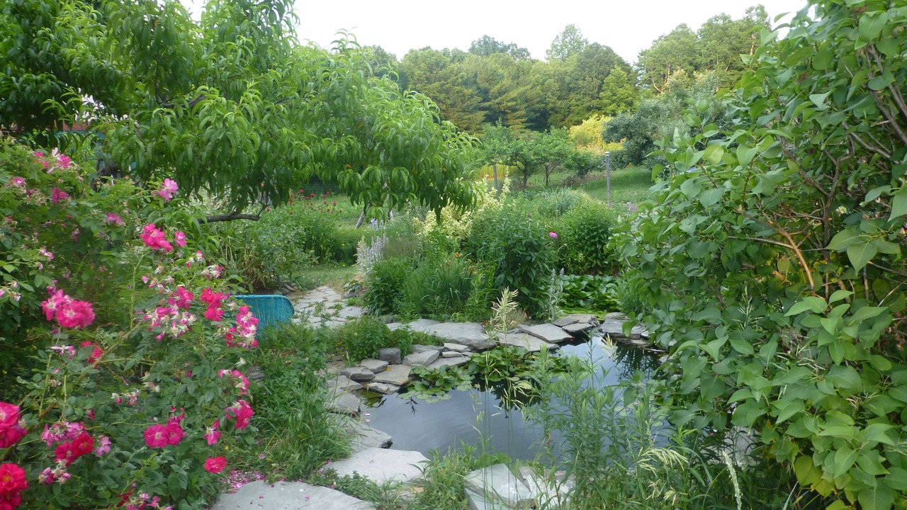 Photo of Outdoor in Newfield