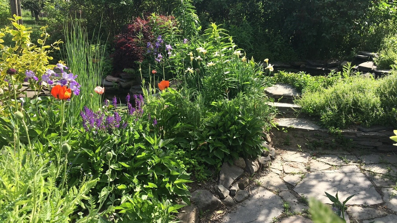 Photo of Outdoor in Newfield