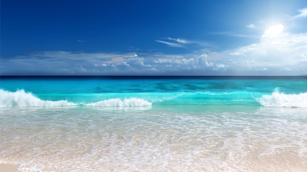 Photo of Others in Pensacola Beach
