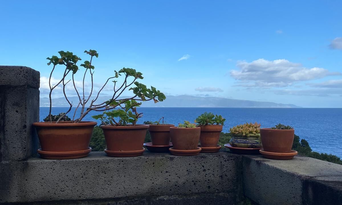 Photo of Patio Balcony in Santo Amaro