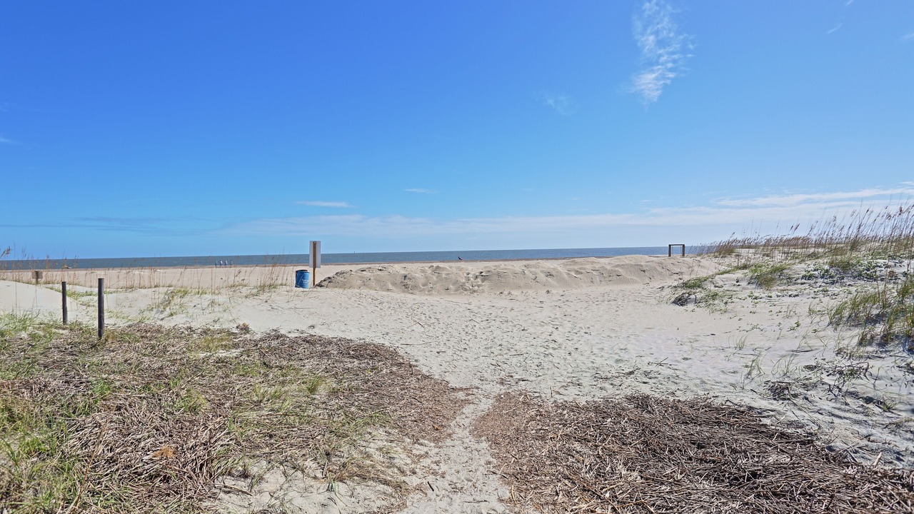 Photo of Others in Tybee Island