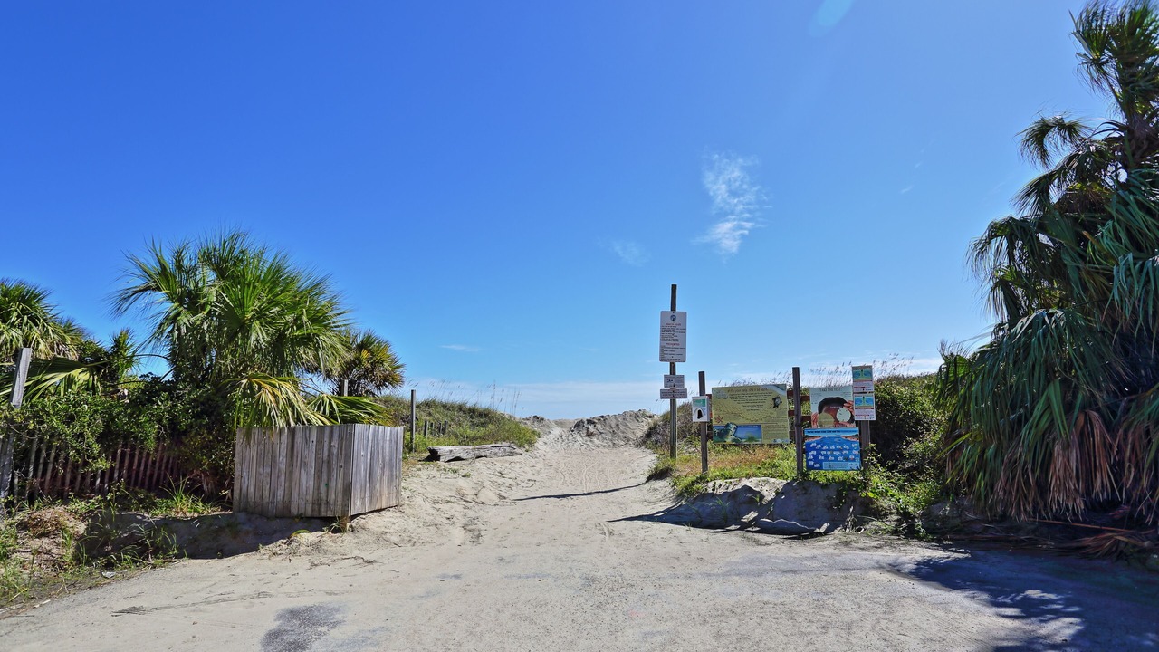 Photo of Others in Tybee Island