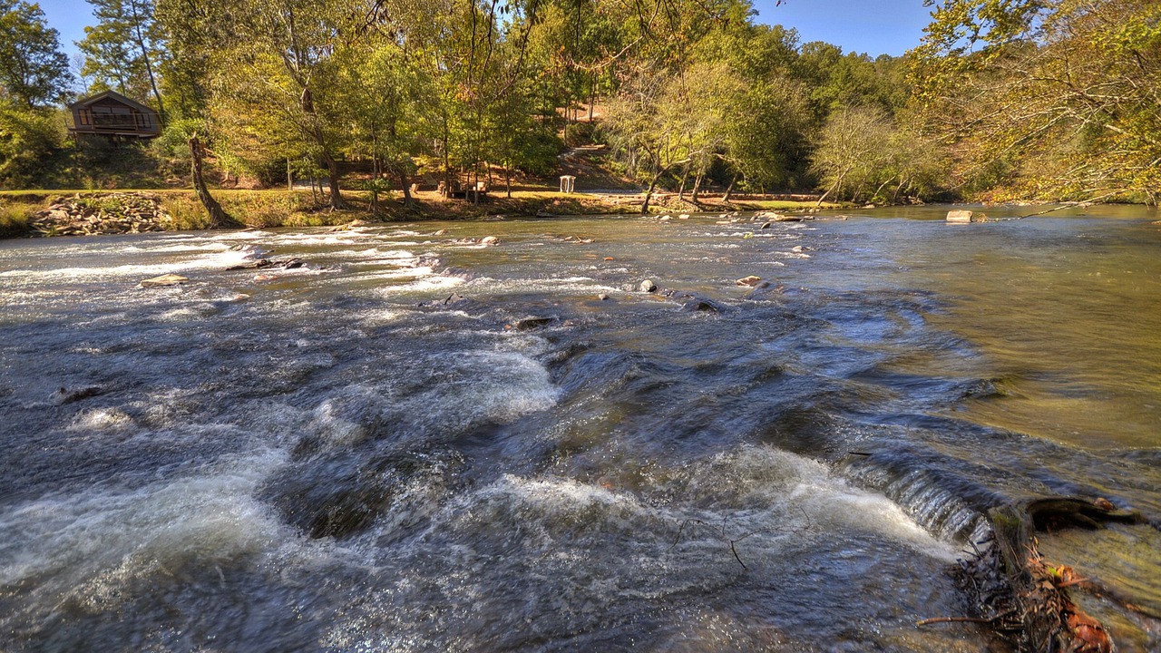 Photo of Others in Ellijay