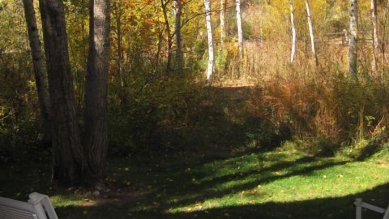 Photo of Outdoor in Moose Wilson Road