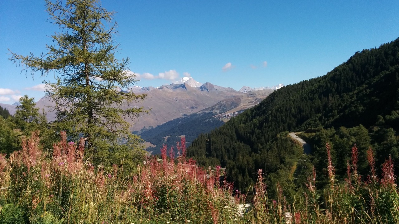 Photo of Outdoor in Arc-2000