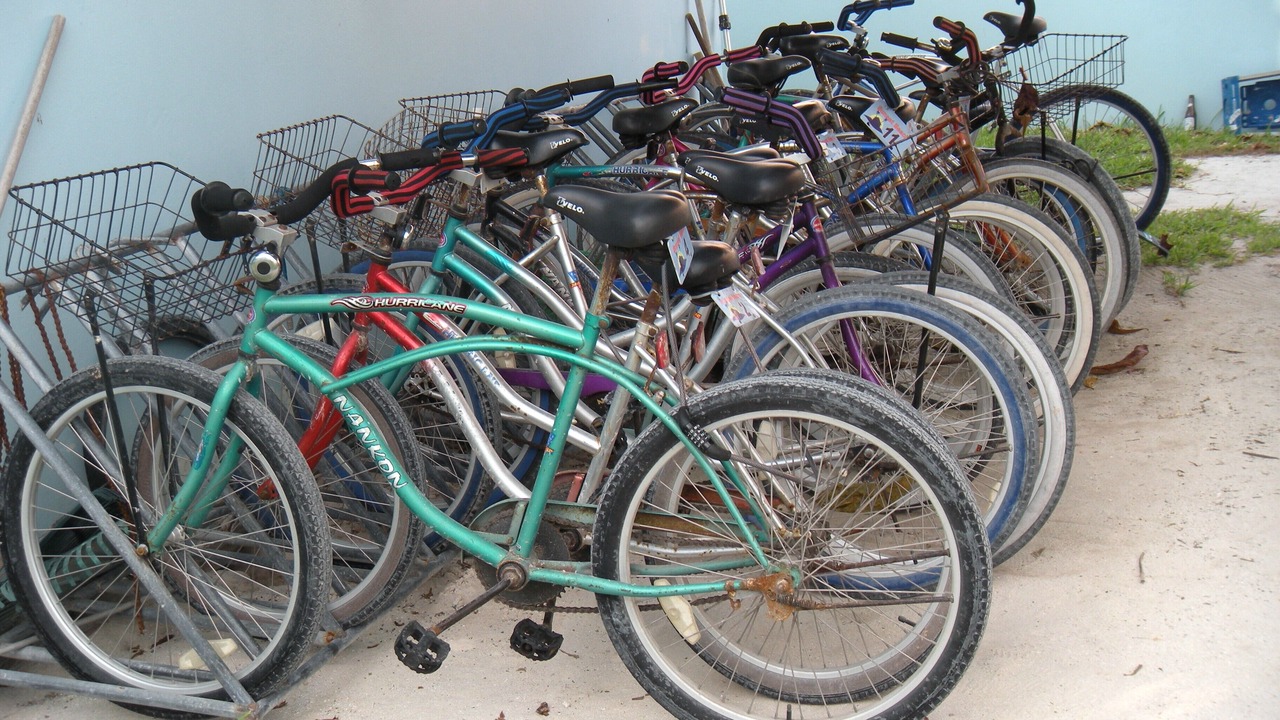 Photo of Others in San Pedro