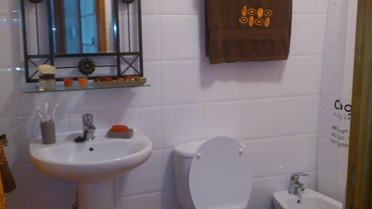 Photo of Bathroom in Ribeira Grande