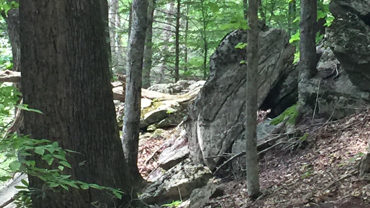 Photo of Outdoor in Sugar Grove