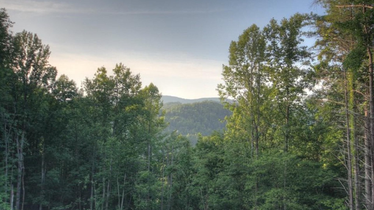 Photo of Outdoor in Sugar Grove
