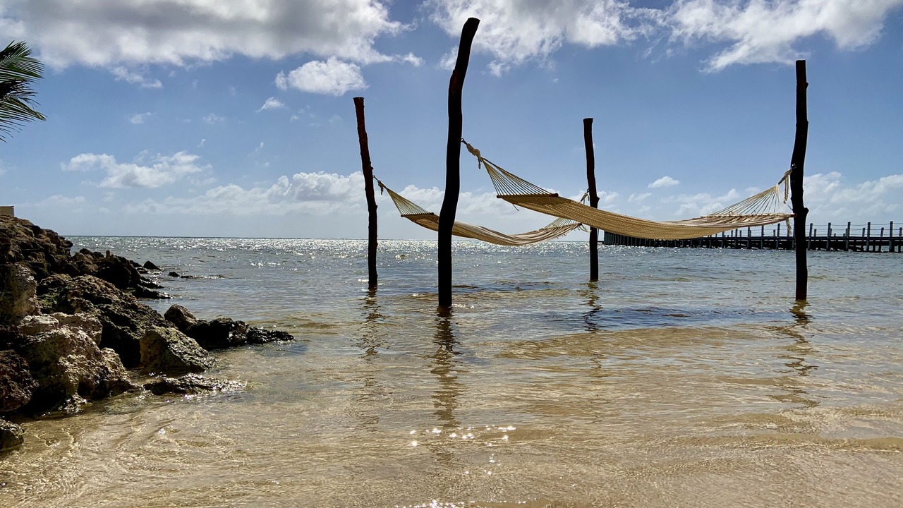 Photo of Others in San Pedro