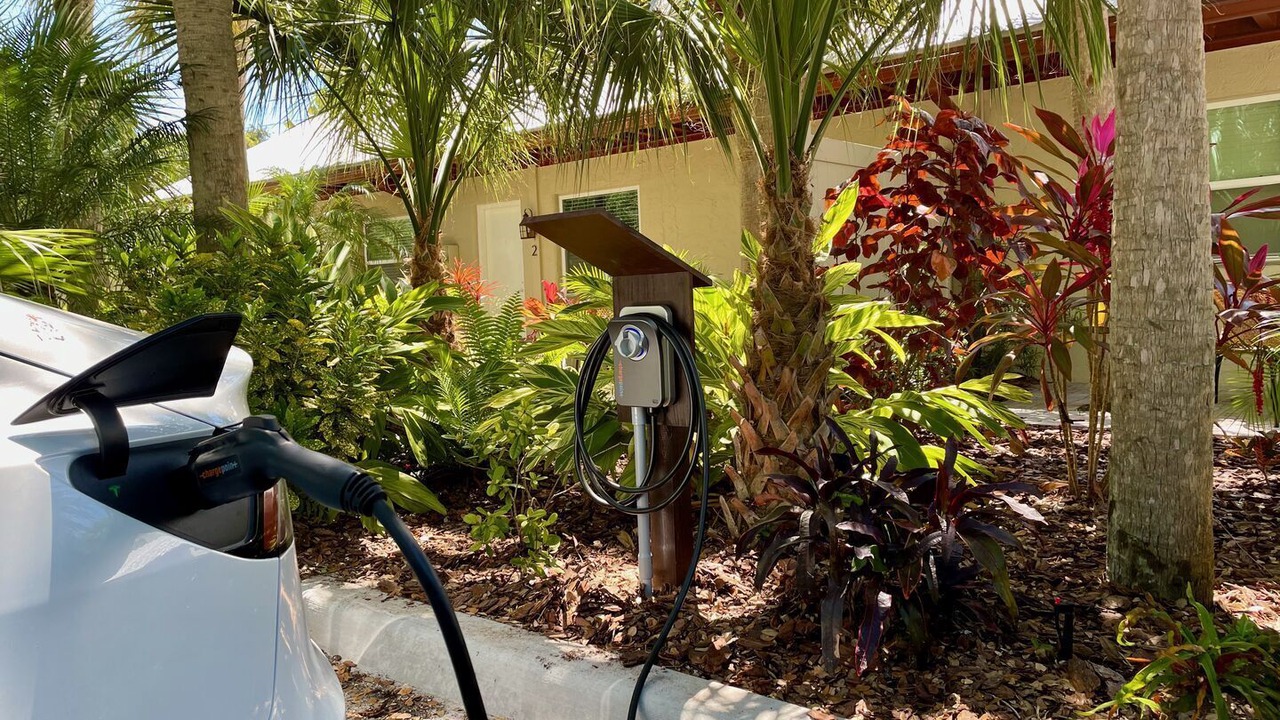 Photo of Outdoor in Siesta Key
