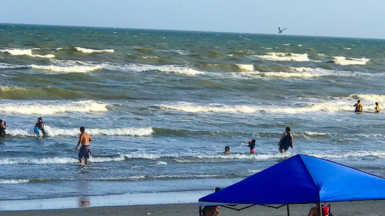 Photo of Others in Galveston