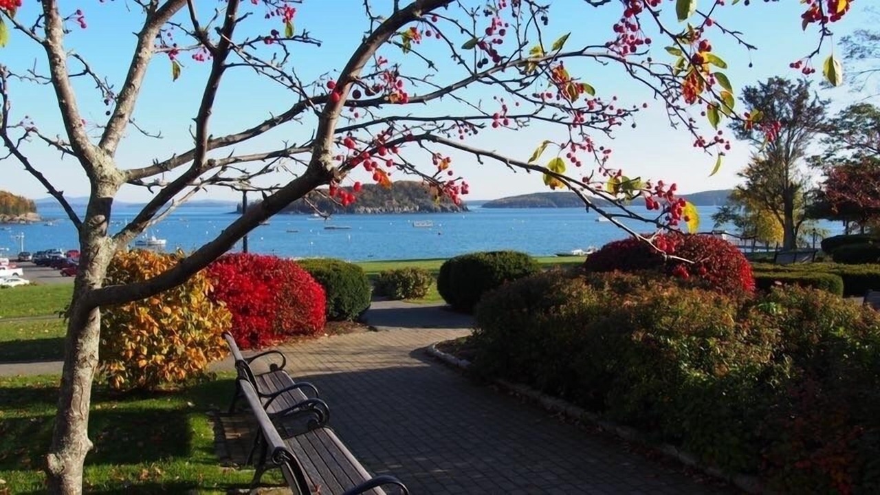 Photo of Others in Bar Harbor