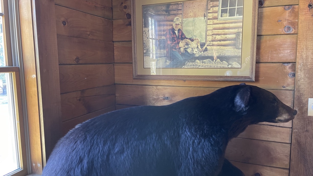 Photo of Bedroom in Mount Hope