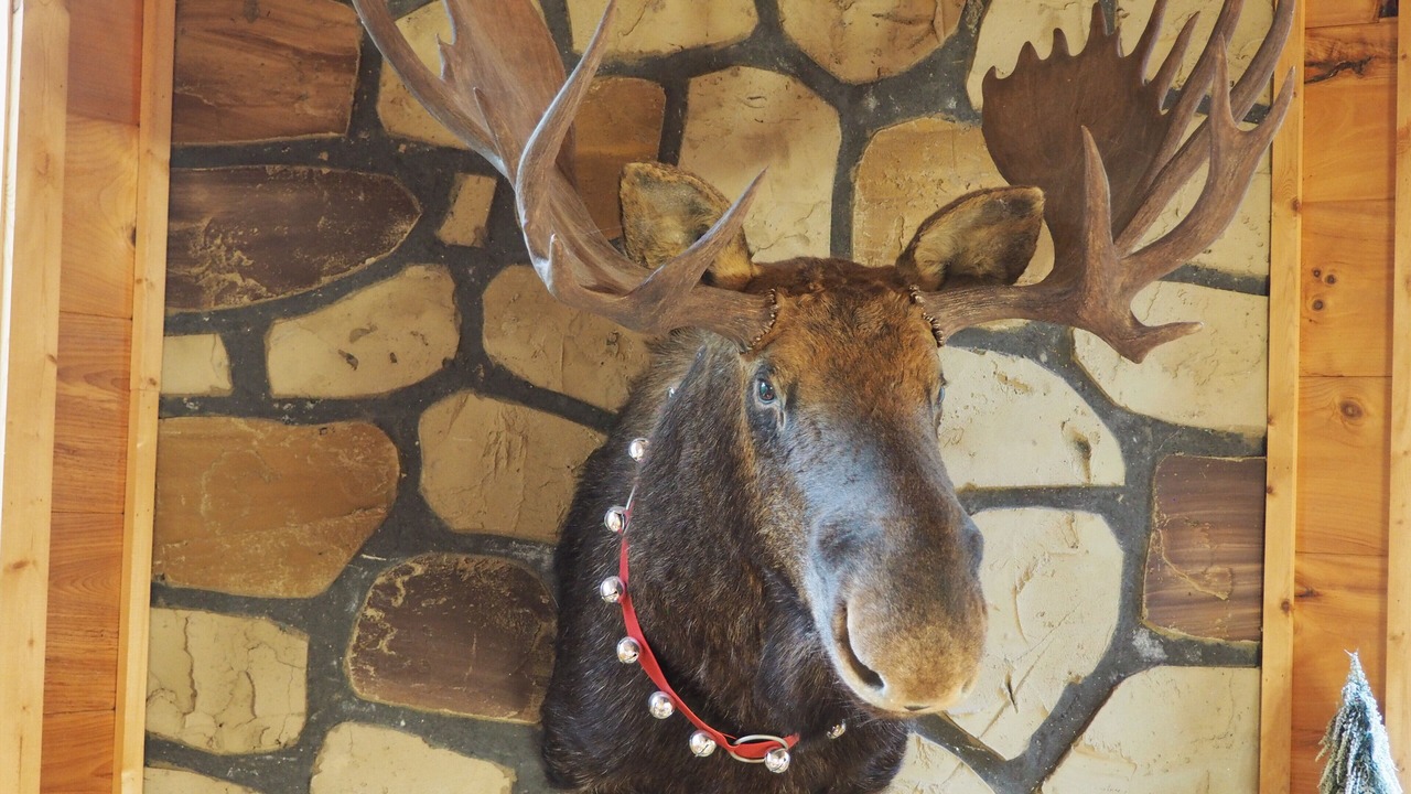 Photo of Others in Gatlinburg - Pigeon Forge