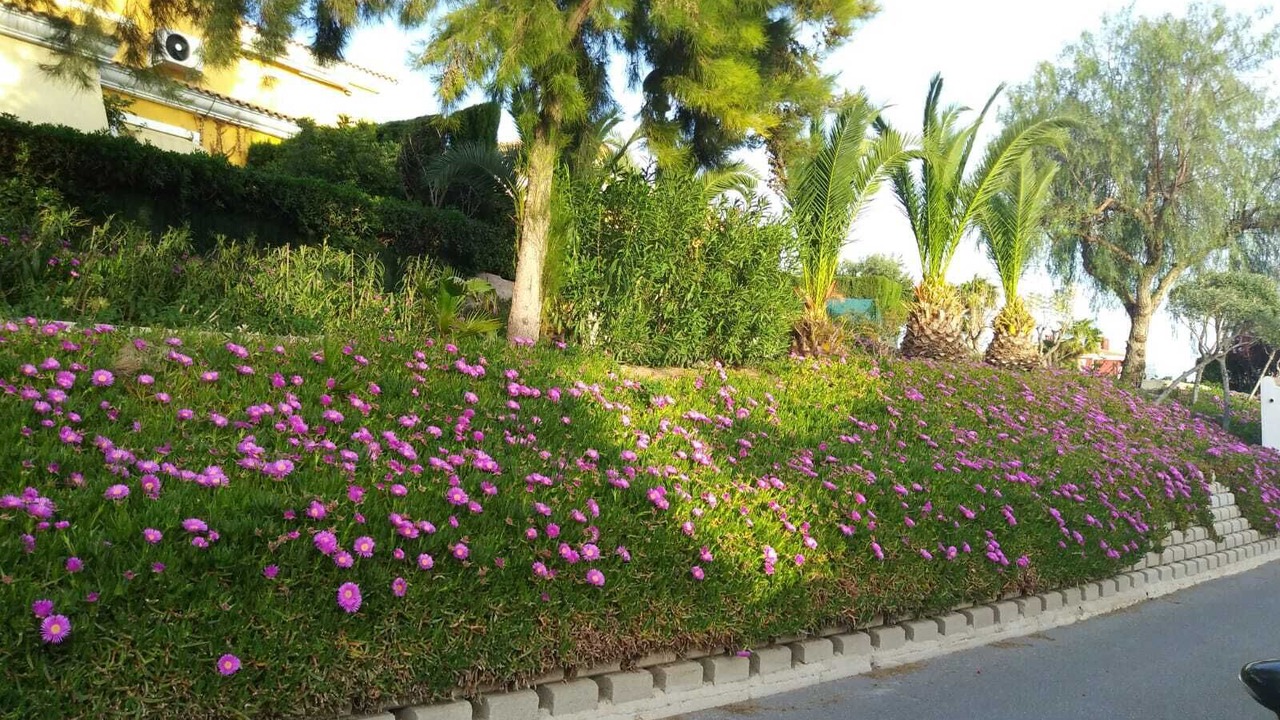 Photo of Outdoor in Hoya de los Patos