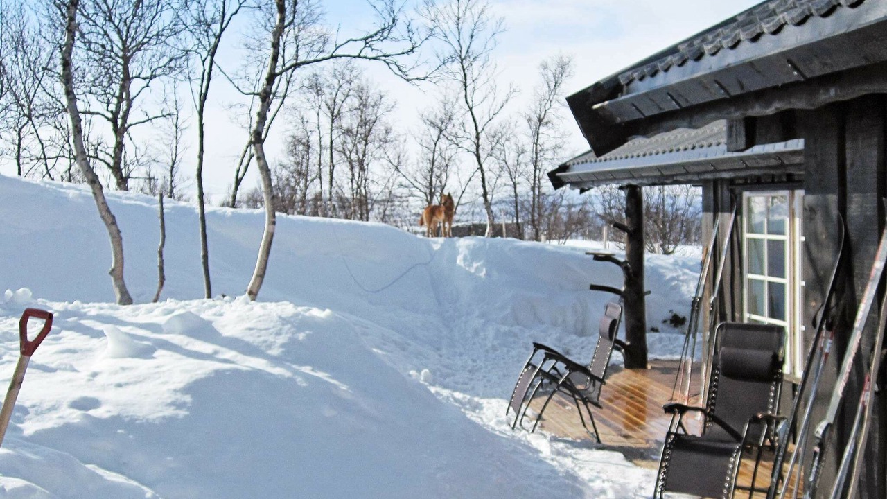 Photo of Outdoor in Rennebu