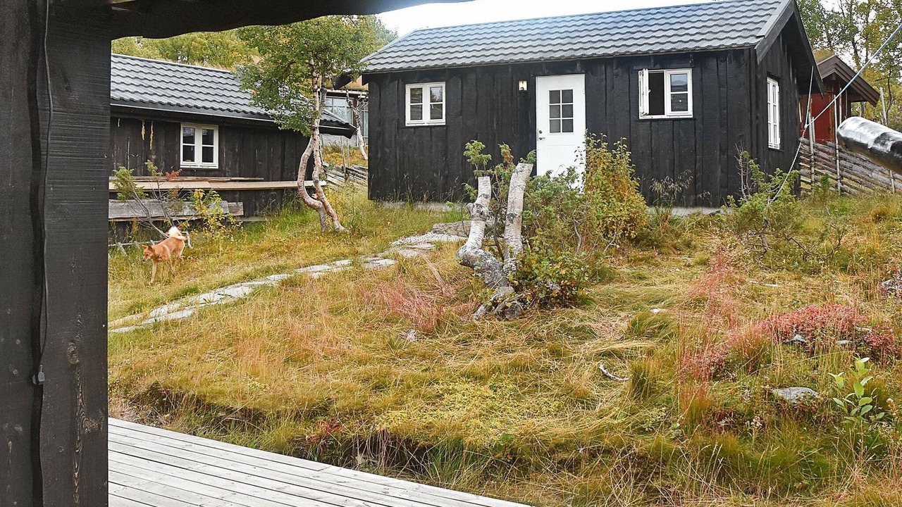 Photo of Outdoor in Rennebu