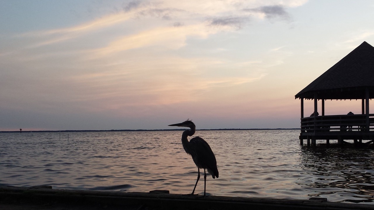 Photo of Others in Corolla Village