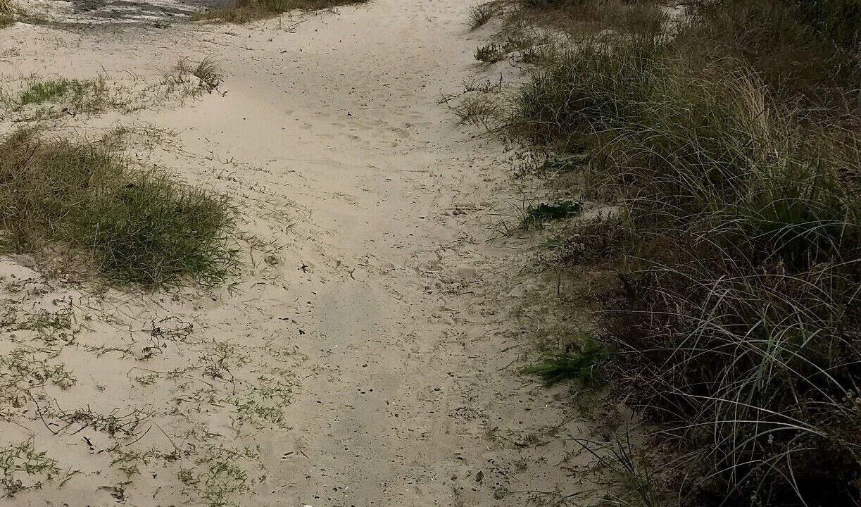 Photo of Others in Corolla Village