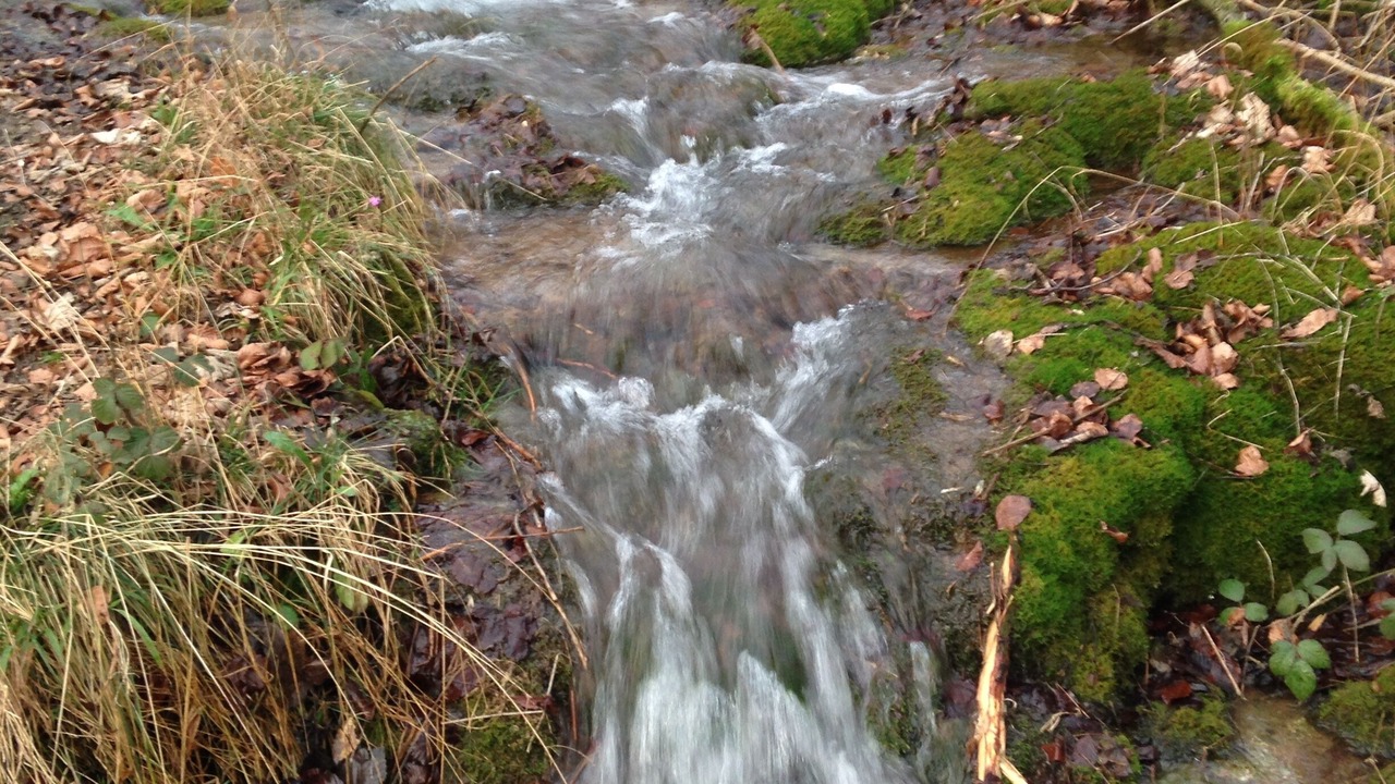 Photo of Outdoor in Rohden