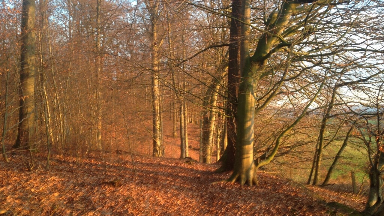Photo of Outdoor in Rohden