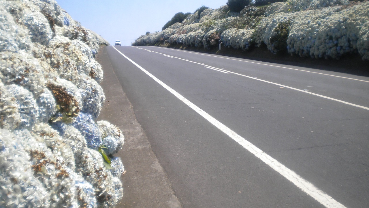 Photo of Others in Ponta Delgada