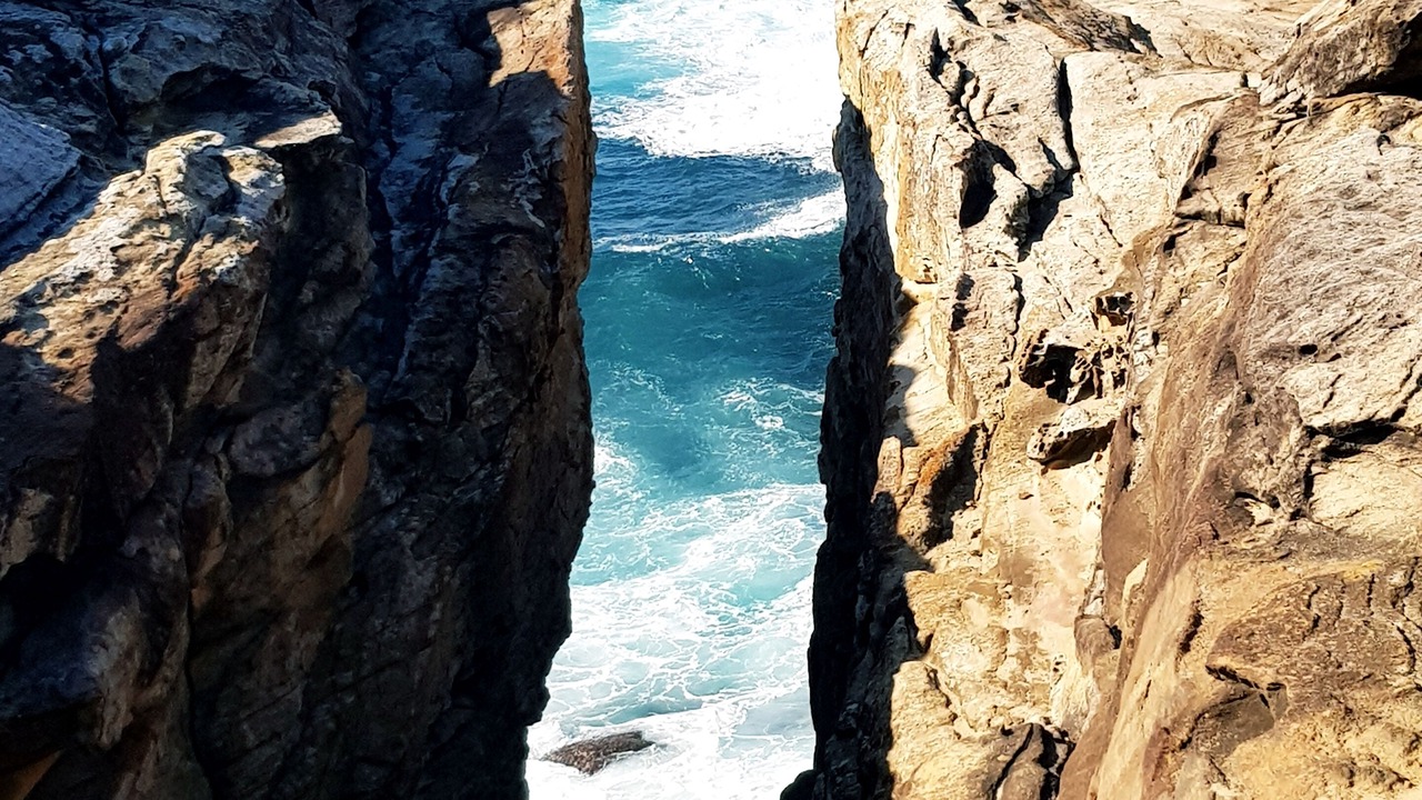 Photo of Others in Maroubra