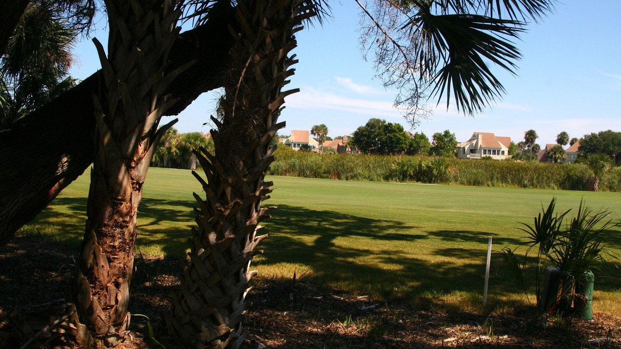 Photo of Others in Tarpon Pond