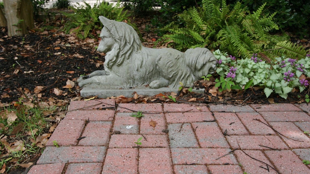 Photo of Outdoor in Downtown