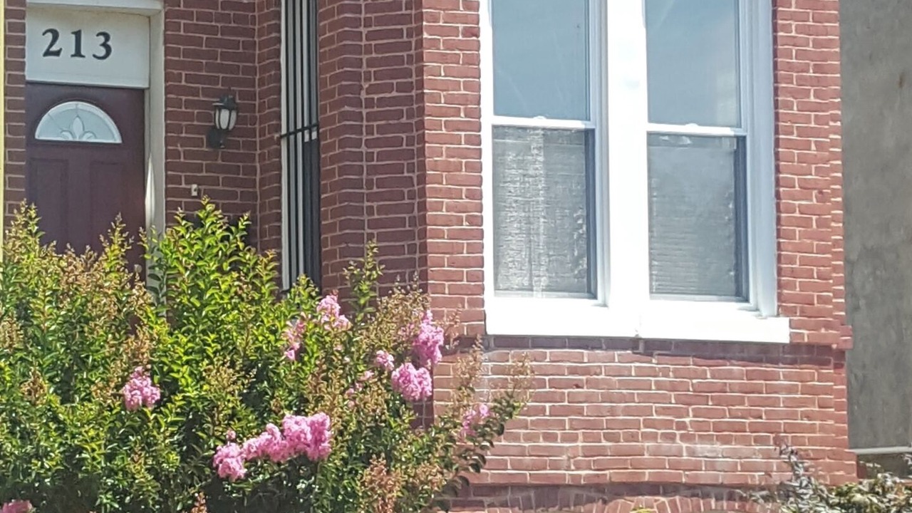 Photo of Outdoor in Truxton Circle