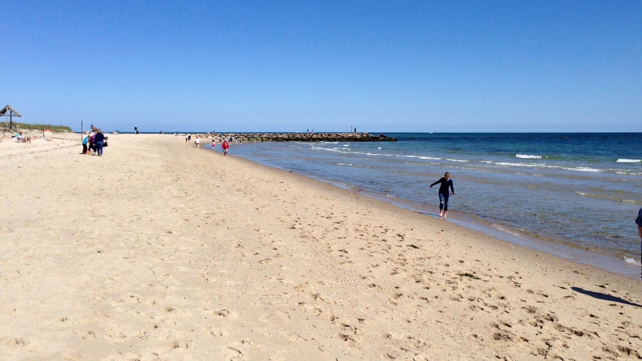 Photo of Others in West Harwich