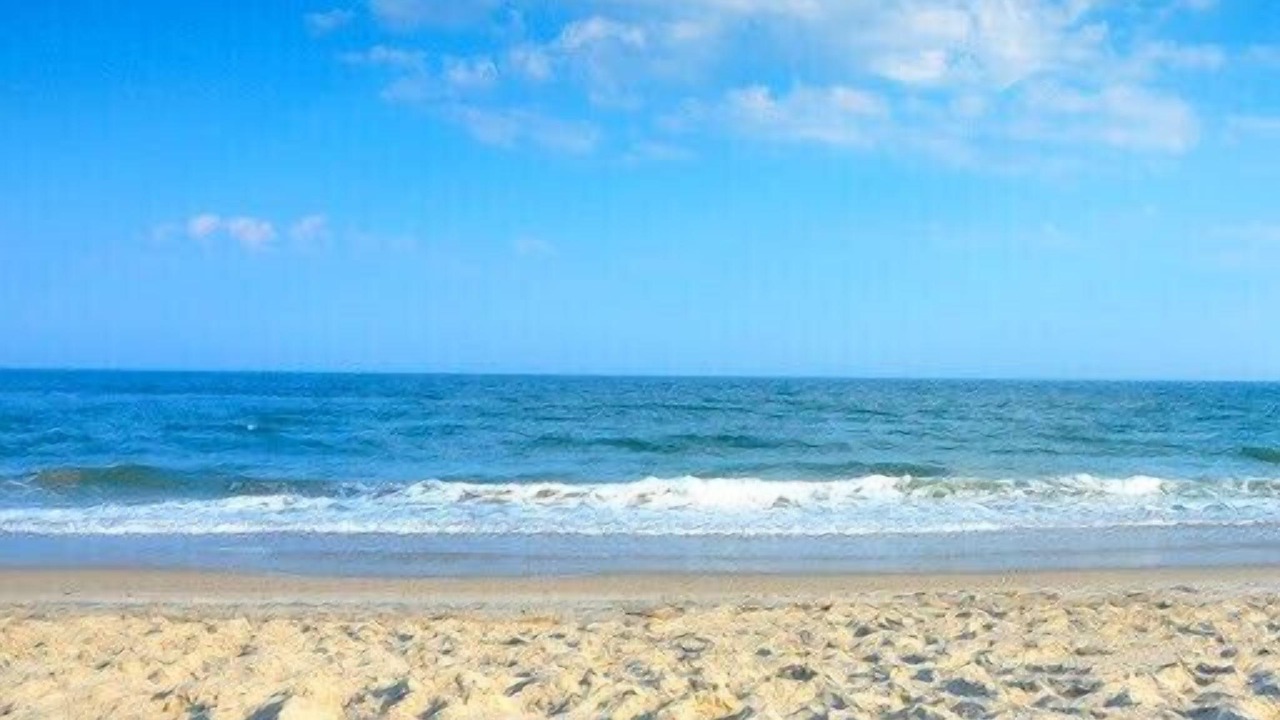Photo of Others in Jamaica Beach