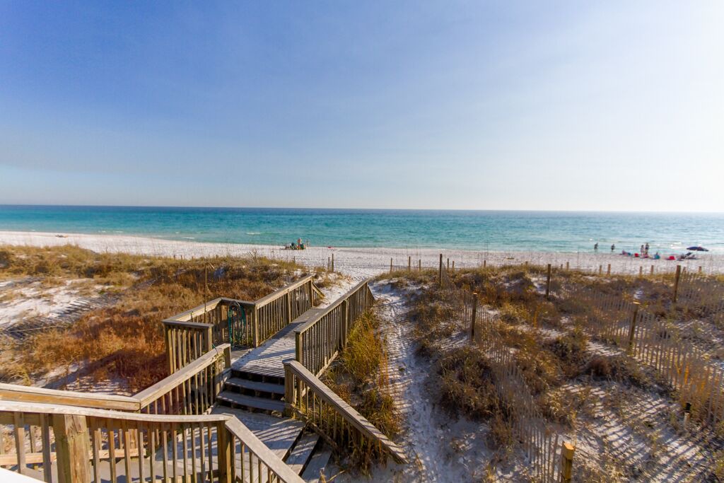 Photo of Others in Gulf Pines