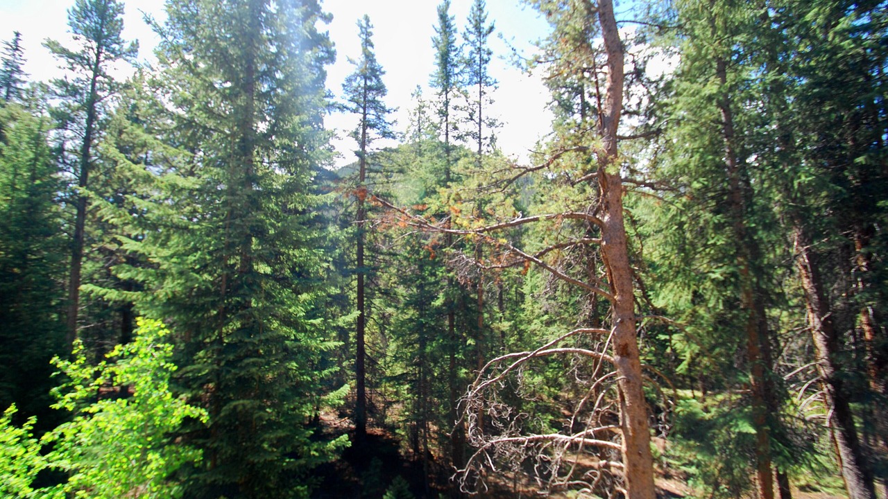 Photo of Outdoor in Keystone