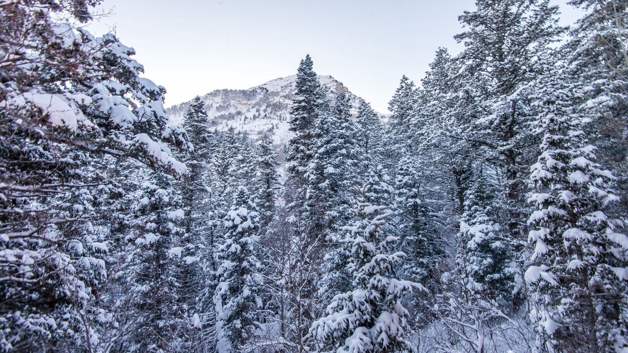 Photo of Others in Sundance