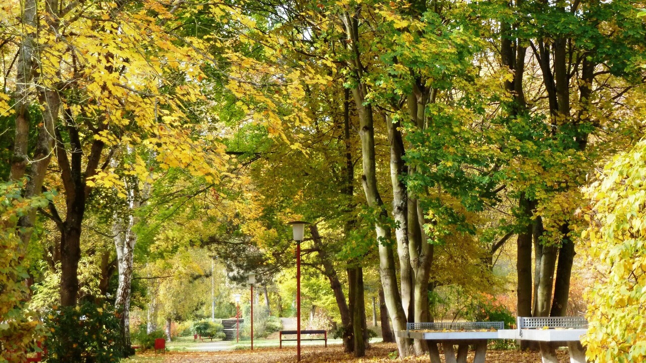 Photo of Outdoor in Gemund