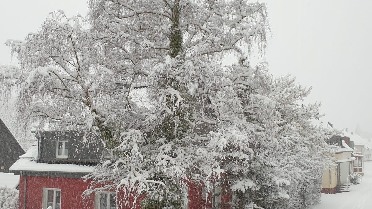 Photo of Outdoor in Gemund