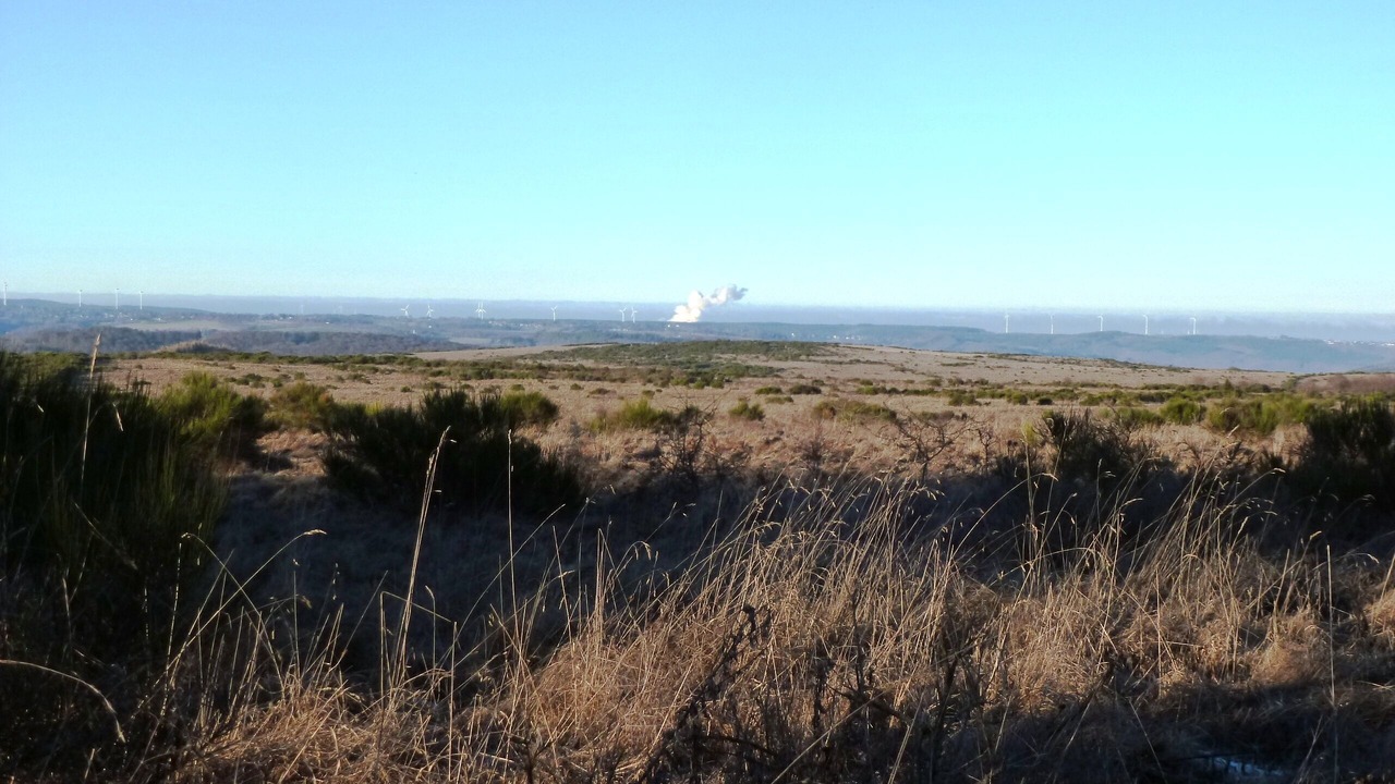 Photo of Others in Gemund