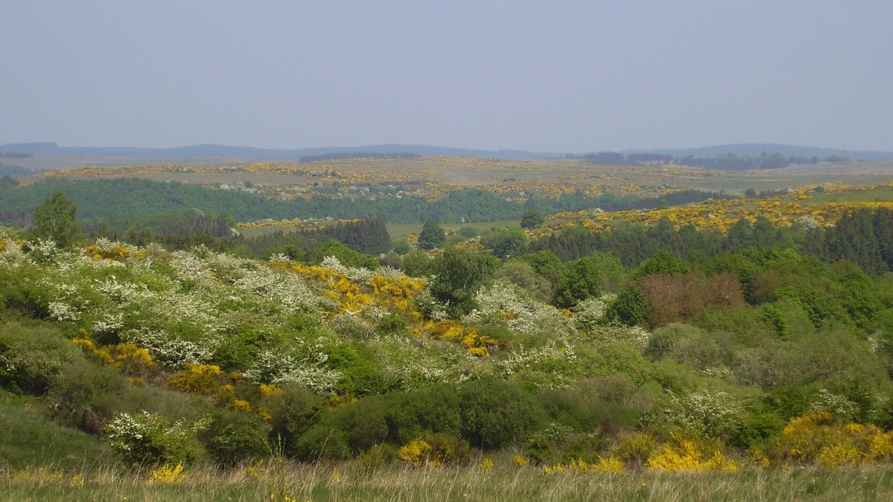 Photo of Outdoor in Gemund