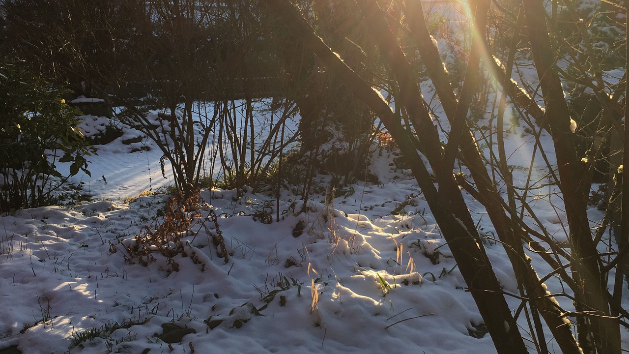 Photo of Outdoor in Gemund