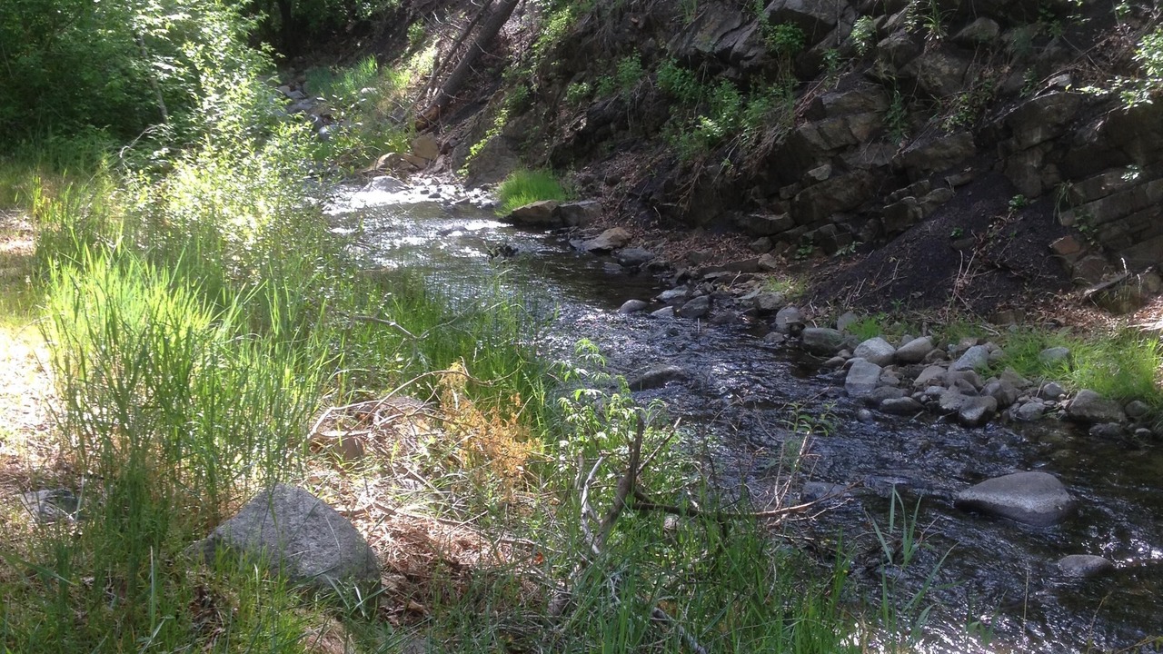 Photo of Others in Ruidoso