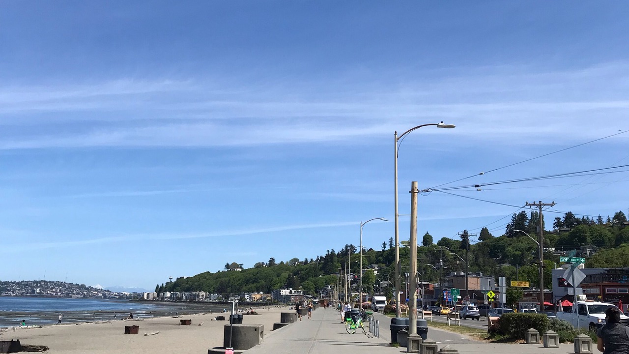 Photo of Others in Alki
