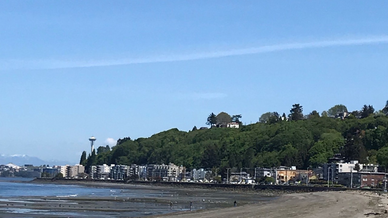 Photo of Others in Alki