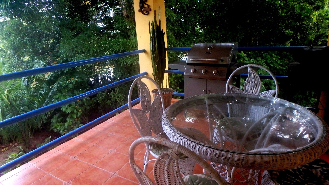 Photo of Others in Sierpe