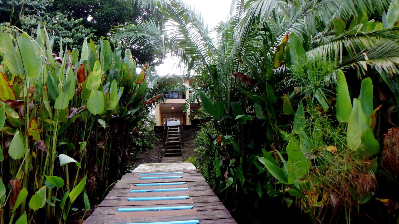 Photo of Outdoor in Sierpe