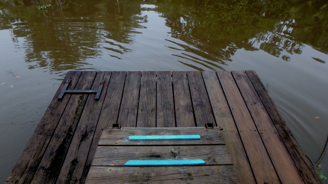 Photo of Outdoor in Sierpe