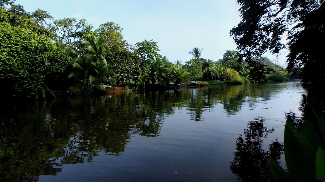Photo of Outdoor in Sierpe